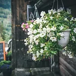 Nutheim Herberg Flatdal