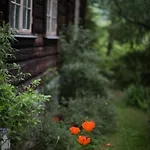 Nutheim Herberg Flatdal